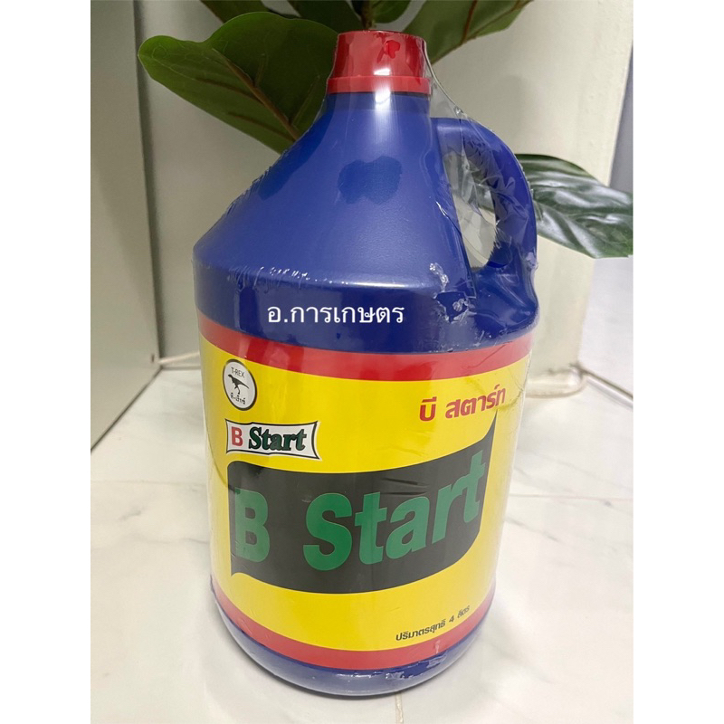 ใช้โค้ตพร้อมกันได้ B1 บีวัน b1 เปลื่ยนชื่อเป็น b start ขนาด 4 ลิตร ยาเร่งราก เร่งราก เรียกราก b-1