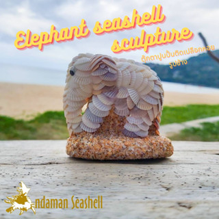 Andaman seashell  ตุ๊กตาปูนปั้นติดเปลือกหอย รูปช้าง ติดหอยแครง