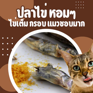 ฟรีซดรายแมว ปลาไข่ฟรีซดราย ปลาไข่ อบแห้ง ฟรีซดราย อบแห้ง ขนมแมว ขนมสุนัข freeze dried pet treat ขนมฟรีซดรายสัตว์ ขนมหมา