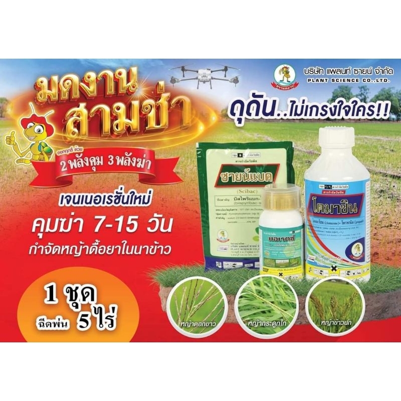 มดงานสามช่า ชุด5ไร่ ยาคุมฆ่าหญ้าในนาข้าว 7-15วัน ออกฤทธิ์ด้วย 2 พลังคุม 3 พลังฆ่า 1ชุด/ฉีดพ่น5ไร่