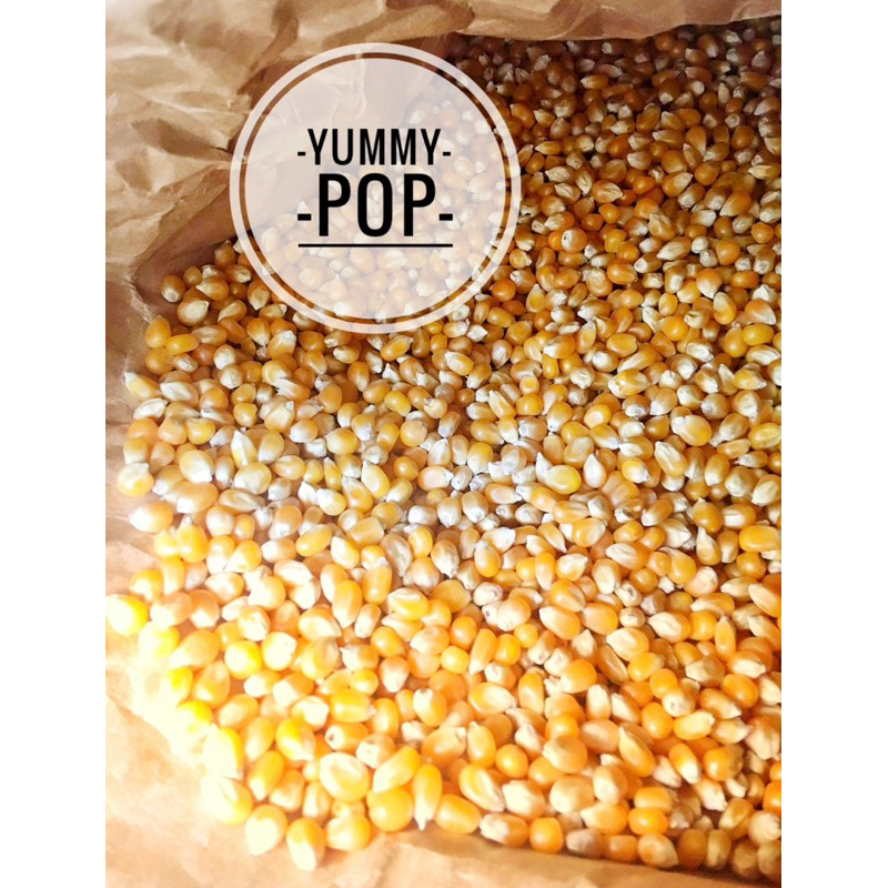 🔥10.10🔥🍿 เมล็ดข้าวโพดดิบ ป๊อบคอร์น พันธ์ุผีเสื้อ และ เห็ดกลม ยัมมีป๊อบ Yummy Pop