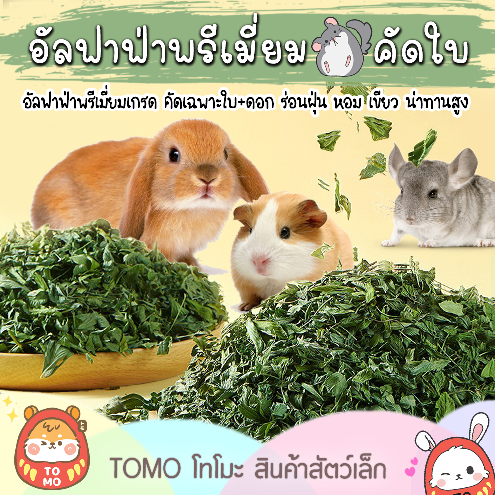 ร้านโทโมะ 💕 ใบอัลฟาฟ่า คัดใบล้วน Premium Alfafa Hay พรีเมี่ยม อบ ไร้ฝุ่น หญ้ากระต่าย แกสบี้ แพรี่ด๊อก อาหารกระต่าย