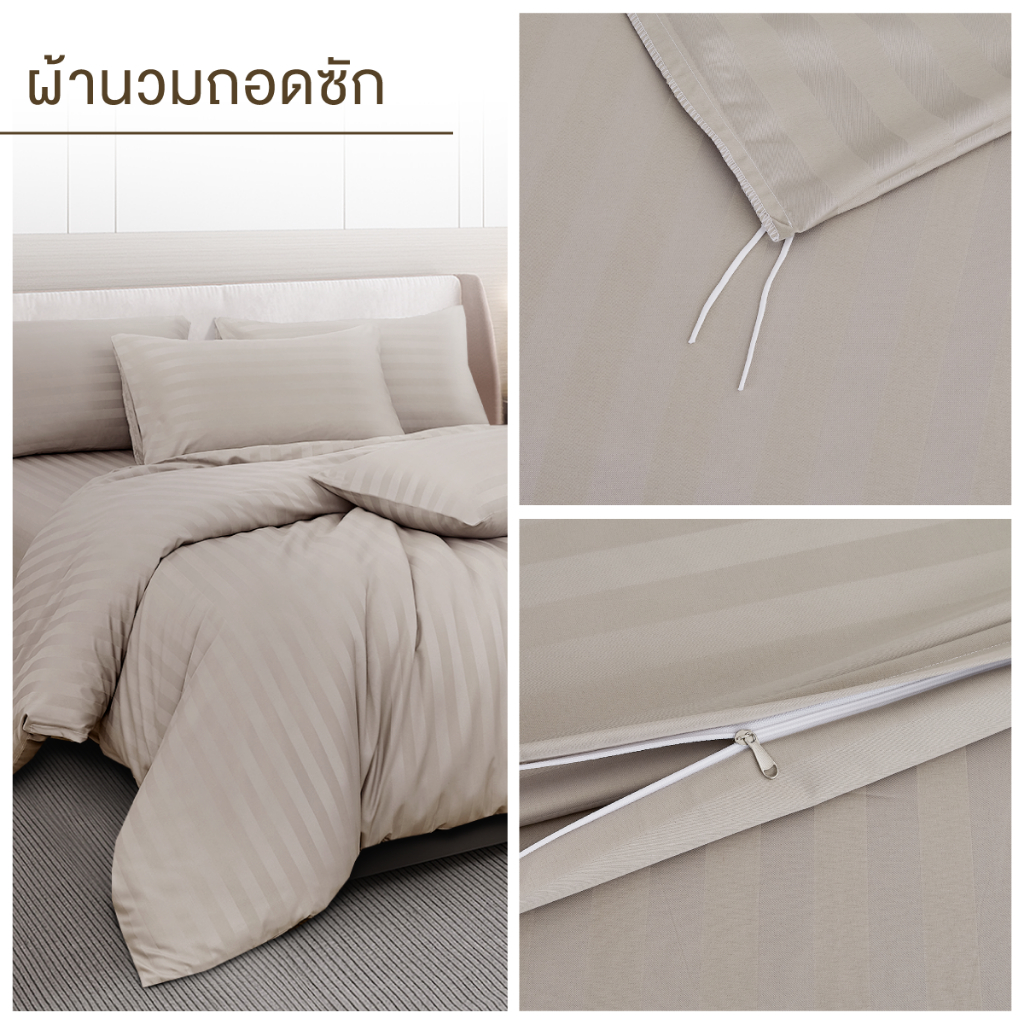 ibed ชุดผ้าปูที่นอนทอลายครบเซ็ท Softex Satin (ทอลายริ้ว) Latte milk 3.5 ฟุต,5 ฟุต,6 ฟุต - STRIPED COLLECTION - รูปที่ 4