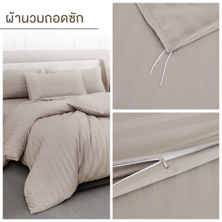 ibed ชุดผ้าปูที่นอนทอลายครบเซ็ท Softex Satin (ทอลายริ้ว) Latte milk - STRIPED COLLECTION