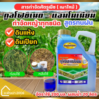 🔥กลูโฟซิเนต-แอมโมเนียม15%(น้ำฟ้า)4 ลิตร 📌เผา ไหม้🔥 สินค้าผลิตใหม่ 3ก.ค.66 ของแท้ 💯 📸ภาพถ่ายจากสินค้าจริง✅