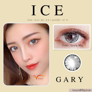 คอนแทคเลนส์  ICE​ Gary ✨ ยี่ห้อ GAEZZ ; Color Gary ( ค่าสายตา 50 - 700 )