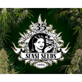 [แบ่ง]Sensi Seeds โฟโต้และออโต้