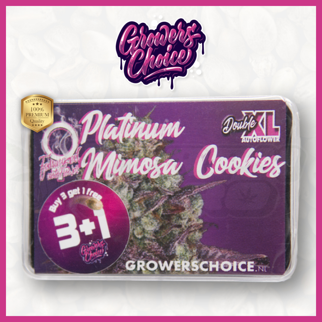 Platinum Mimosa Cookies Double XL (Auto) - Growers Choice เมล็ด กัญชา นำเข้าแท้100% เมล็ดเพศเมีย