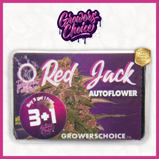 Red Jack (Auto) - Growers Choice เมล็ด กัญชา นำเข้าแท้100% เมล็ดเพศเมีย