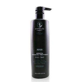 PAUL MITCHELL - ทรีทเม้นต์เคราตินเข้มข้น Awapuhi Wild Ginger (สำหรับผมแห้งและผมเสีย) - 500ml/16.9oz