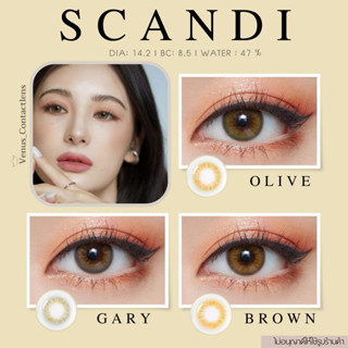 คอนแทคเลนส์ Scandi  ✨ ยี่ห้อ GAEZZ ; Color Gary / Brown / Olive ( สายตาปกติ )