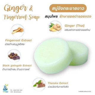 สบู่ขิงกระชายขาว Ginger and Fingerroot Soap ลดความมันส่วนเกิน ให้ความชุ่มชื้นแก่ผิว ทำความสะอาดได้อย่างหมดจด