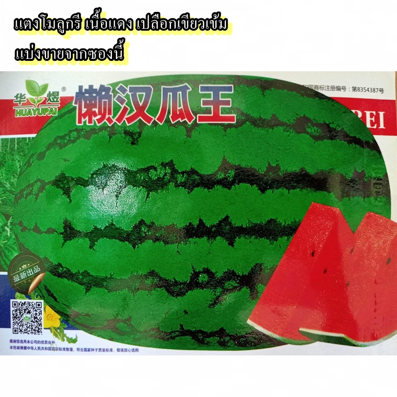 12 เมล็ด เมล็ดแตงโมลูกรี เนื้อแดง เปลือกเขียวเข้ม (ผลทรงรี เนื้อสีแดง รสชาติหวานมาก 13 บริกซ์ น้ำหนักผล 6-15 กิโลกรัม)