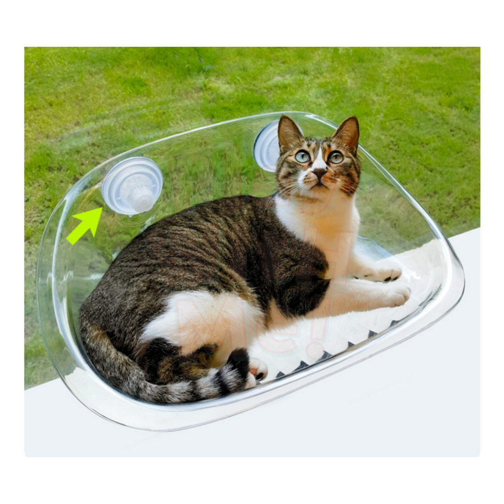 ✅พร้อมส่ง✅ เปลแมวติดกระจก สีใส เห็นใต้ท้องแมว เปลแมว ที่นอนแมว