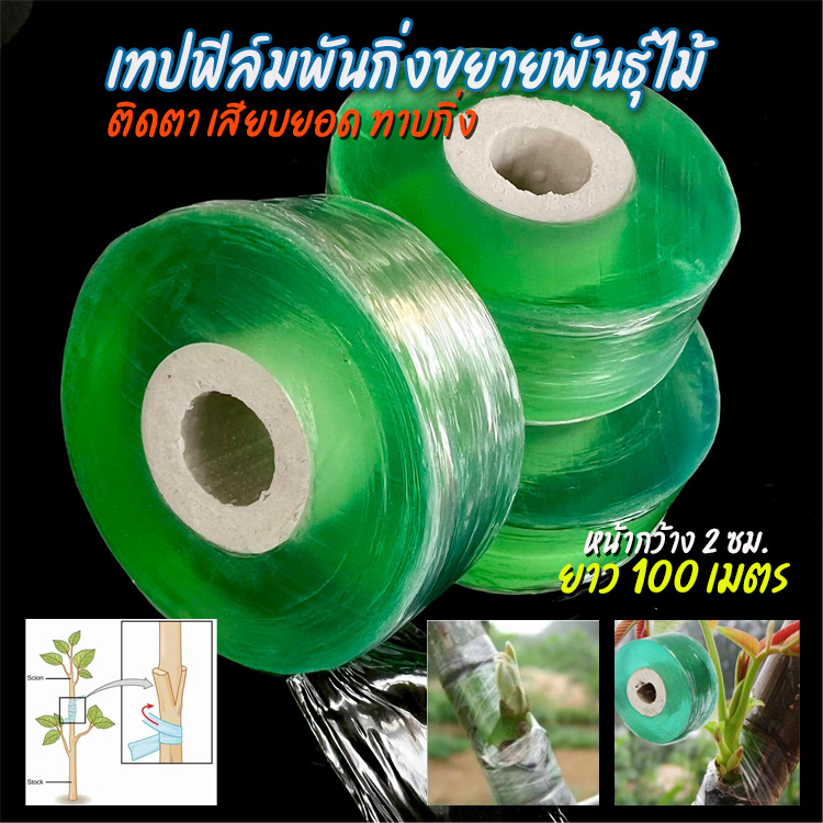 เทปฟิล์มยืดพันกิ่งขยายพันธุ์ไม้สีเขียวใสหน้ากว้าง 2 ซม.
