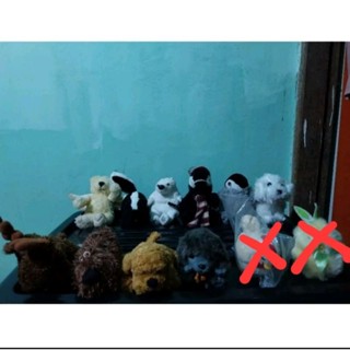 ตุ๊กตามือสอง ตัวละ 29 บาท รับ 5 ตัว 25 บาท