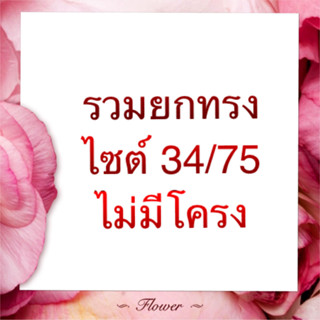 รวมยกทรงไซต์ 34/75 แบบไม่มีโครง