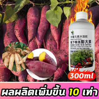 🍠ผลผลิตเพิ่มขึ้น 10 เท่า!!!🍠ฮอร์โมนมันสำปะหลัง ปุ๋ยเร่งหัวมัน ฮอร์โมนระเบิดหัว 300ml สูตรเข้มข้น (1 ขวด ผสม 240 ลิตร)