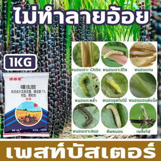 🐛100ปีไม่มีศัตรูพืช🐛BQ ยาฆ่าแมลง ยากำจัดแมลง ยาฆ่าหนอน 1000g กำจัดศัตรูพืชในไร่อ้อย ไม่ทำลายอ้อย สารกำจัดแมลง