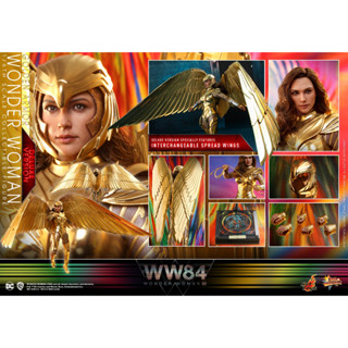 Hot Toys MMS578 Golden Armor Wonder Woman (Deluxe Version) Wonder Woman 1984 1/6 โมเดล ฟิกเกอร์ ของสะสม