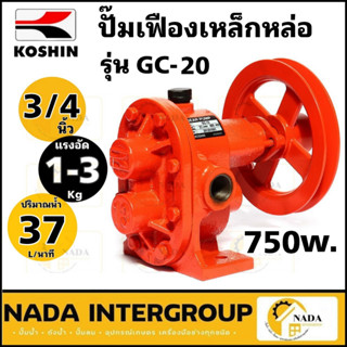 ปั๊มเฟืองเหล็กหล่อ ปั๊มเฟืองเหล็ก รุ่น GC-20 ขนาด 3/4 นิ้ว หรือ 6 หุน   ปั้มเฟือง ปั้มเฟืองเหล็กหล่อ  ปั๊มเฟือง ปั๊มสูบ