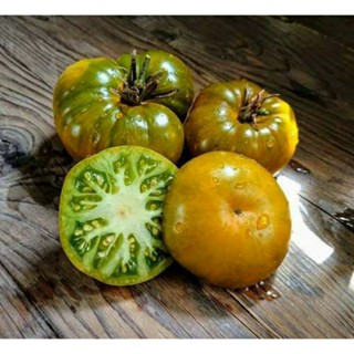 เมล็ดพันธุ์มะเขือเทศเนื้อ เอมเมอรัล แอปเปิ้ล (Emerald Apple Beefsteak Tomato Seed) บรรจุ 15 เมล็ด ของแท้ คุณภาพดี นำเข้า