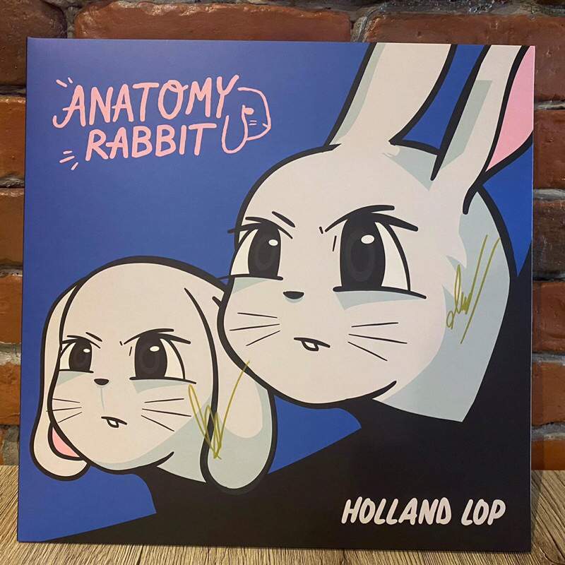 ‼️VERY RARE‼️ 1 LP Vinyl แผ่นเสียง ไวนิล Anatomy Rabbit - Holland Lop ❗️พร้อมลายเซ็น❗️(0326)