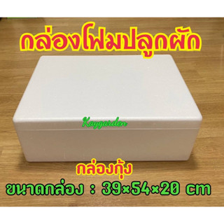 กล่องโฟมปลูกผัก ปลูกผักไฮโดร กล่องกุ้ง จุน้ำ 24 ลิตร มือหนึ่ง กล่องหนา 2.5ซม แข็งแรงมาก