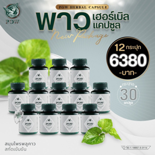 โปร 12 กระปุก 💙ของแท้ ส่งฟรี 🚩ออกใบกำกับภาษีได้ 🍃 พาว เฮอร์เบิล แคปซูล พลูคาวสกัดชนิดแคปซุล ⭐ออกใบกำกับภาษีได้