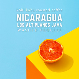 🍊 Nicaragua Los Altiplanos Java | กาแฟนิคารากัว จาวา | เมล็ดกาแฟคั่วสดใหม่