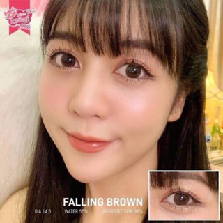 🍒Bigeyes Falling Brown,Gray🍒สายตา-1.00ถึง-3.00(Kitty kawaii)