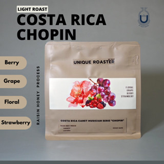 เมล็ดกาแฟคั่วอ่อน - Costa Rica Canet Chopin Musician Series คอสตาริกา (200g.)