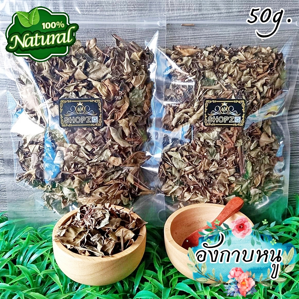 🌿ชาสมุนไพร🌿 ชาอังกาบหนู อังกาบหนูอบแห้ง(ทั้งต้นมีหนาม) ขนาด 50 กรัม Dried Porcupine Flower