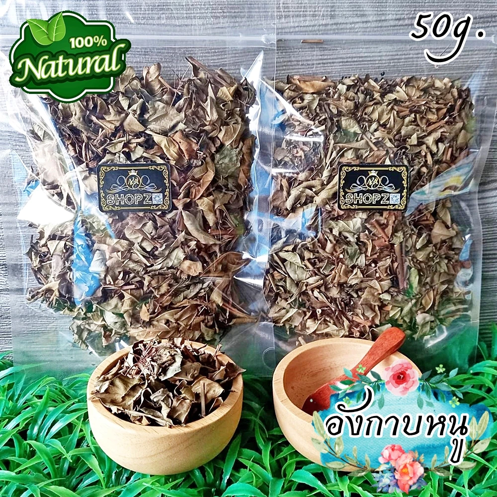 🌿ชาสมุนไพร🌿 ชาอังกาบหนู อังกาบหนูอบแห้ง(ทั้งต้นมีหนาม) ขนาด 50 กรัม Dried Porcupine Flower