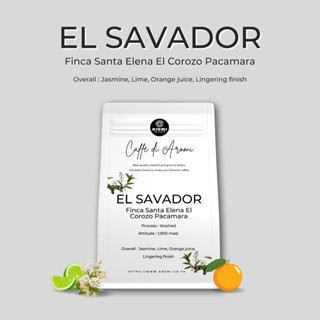 El Savador Finca Santa Elena El Corozo Pacamara