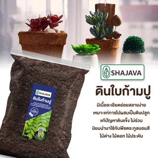 SHAJAVA ดินใบก้ามปู ปริมาณ 1 Kg ดิน ดินพร้อมปลูก ดินก้ามปู