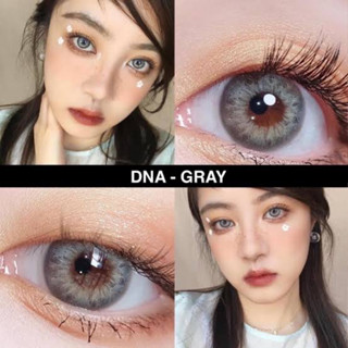 💫Wink : Dna Gray  สายตา 0.00 - 10.00 สายเกา สายฝอ