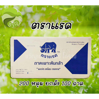 ถาดเพาะชำ 200หลุม ราคาถูกสุด