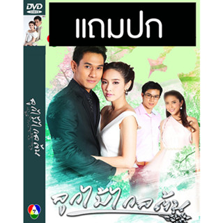 ดีวีดีละครไทยเก่า ลูกไม้ไกลต้น (ปี 2559) (อ๋อม อรรคพันธ์ - มิน พีชญา) (แถมปก)