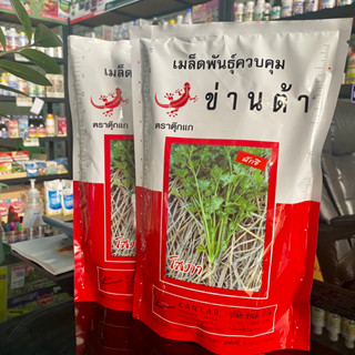 เมล็ดผักชี (ผักป้อม) กอแน่น งอกดี มีน้ำหนัก พันธุ์ โสภา ตราตุ๊กแก 500 กรัม หมดอายุ 09/2566