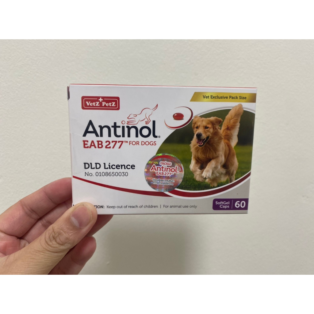 Antinol Dog 60 capsule (หมดอายุ 06/2024) แพ็คเกจใหม่ อาหารเสริมบำรุงข้อ ข้ออักเสบ 1 กล่องบรรจุ 60 เม็ด