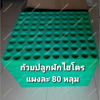 ถาดเพาะปลูกผักไฮโดรโปรนิกส์ #ถาดเพาะปลูกผักสีเขียว แผงละ 80 ถ้วย