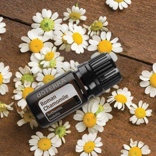 doTERRA Roman Chamomile โรมัน คาโมมายล์ 5ml หอมดุจแอปเปิ้ล หอมสดชื่น ปลุกใจ ใช้บนผิวก็หอม บำรุงผิว ให้ดูอ่อนเยาว์