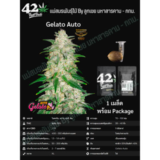 เมล็ดกัญชา Gelato Auto - FastBuds