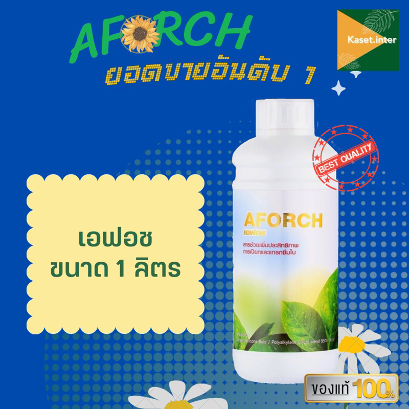 เอฟอช 1000 ซีซี สารจับใบชนิดพิเศษคุณภาพสูงใช้ได้กับทุกพืช เช่น พืชสวน พืชไร่ นาข้าว เอฟอช เอฟอส เอฟอท