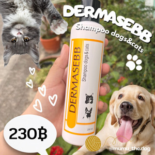 Dermasebb Shampoo แชมพูแก้เชื้อรา ยีสต์ แบคทีเรีย