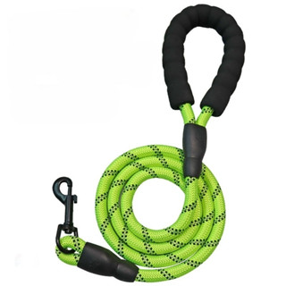 Pidan สายจูงเรืองแสง ตะขอเงิน  สายจูงสัตว์เลี้ยง สายจูงหมา สายจูงสุนัข Pet Durable Reflective Leash