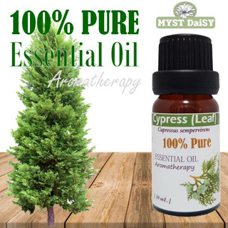 [10 mL.] 100% Pure Essential Oil น้ำมันหอมระเหยสนไซเปรส(ใบ) Cypress Leaf บริสุทธิ์ 100%ไม่ผสม (ไม่ใช่กลิ่นสังเคราะห์)