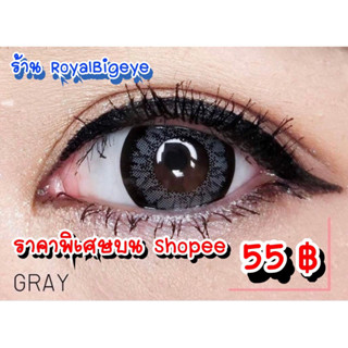 คอนแทคเลนส์ 🎊Extreme Gray (King Gray)🎊 [Gaezz Secret] สีเทาขนาดมินิ/บิ๊กอายตาคมตัดขอบสวย