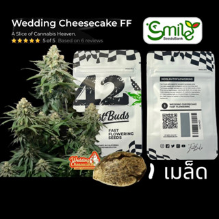 เมล็ดกัญชา Wedding Cheesecake FF (Fast) - Fastbuds